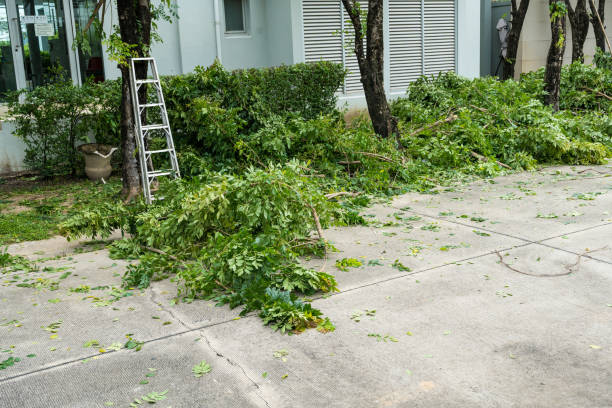 Best Lawn Watering Services  in Houston, AK