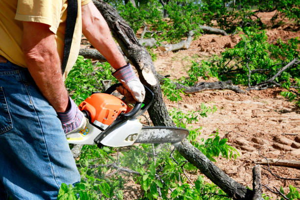 Best Commercial Tree Services  in Houston, AK